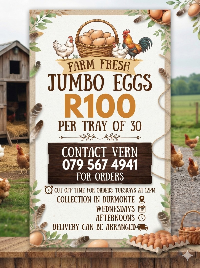 Eggs from the farm - Durbanville surrounds