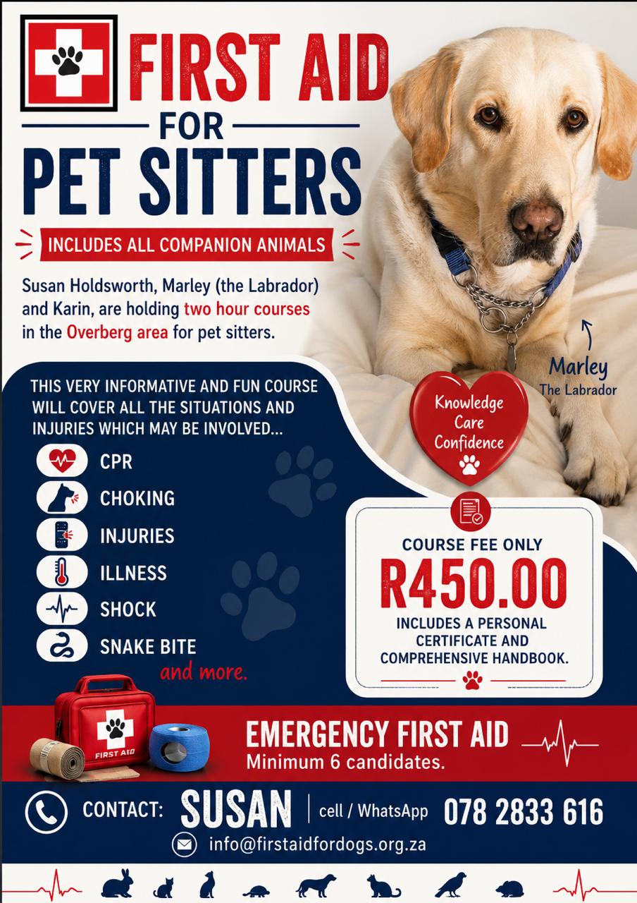 Pet First Aid Courses